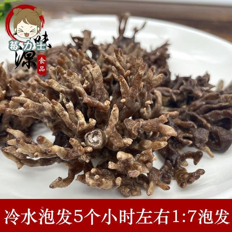 福建龙爪菇干货200g武夷山特产猫抓菇珊瑚菌老鼠爪鸡爪菇特