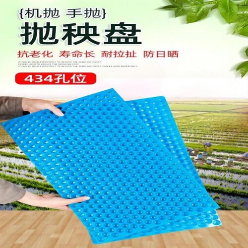免揭新料a育苗盘434孔水稻育秧盘人工抛秧谷物育苗塑料透明手抛盘