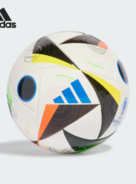 Adidas/阿迪达斯正品2024德国欧洲杯迷你训练用足球IN9378