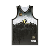 背心AAYU543 李宁正品 CBA专业篮球系列男子运动简约舒适篮球无袖