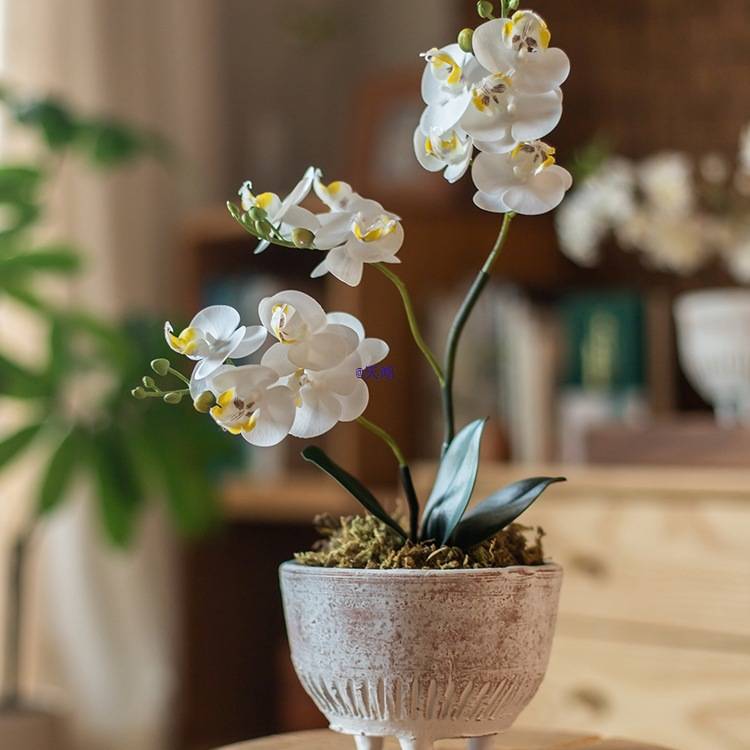 掬涵三脚陶土花盆多肉盆绿植盆家用大口径创意粗陶透气做旧花器