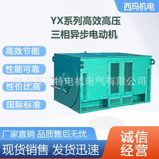 4极2000W6V高压鼠笼型交流三相异步电动机 西安电机YX5601