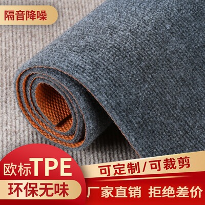 灰色地毯房间客厅卧室耐脏全铺商用办公室大面积满铺隔音整铺地垫