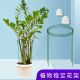 花撑支架护花架绑花支架防倒支撑固定半圆支撑杆爬藤植物支架拢花
