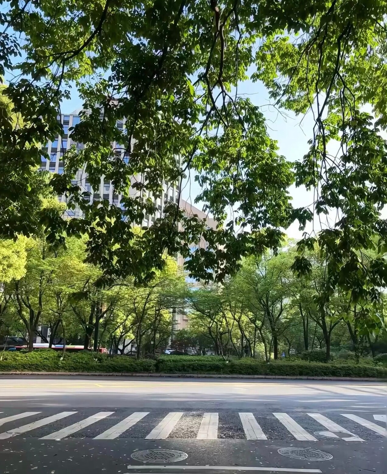 高清壁纸图片，拍下后当天发货，虚拟壁纸，不退不换，谢谢
