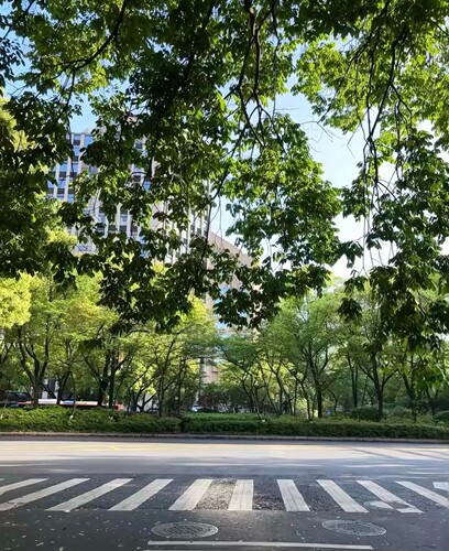 高清壁纸图片，拍下后当天发货，虚拟壁纸，不退不换，谢谢