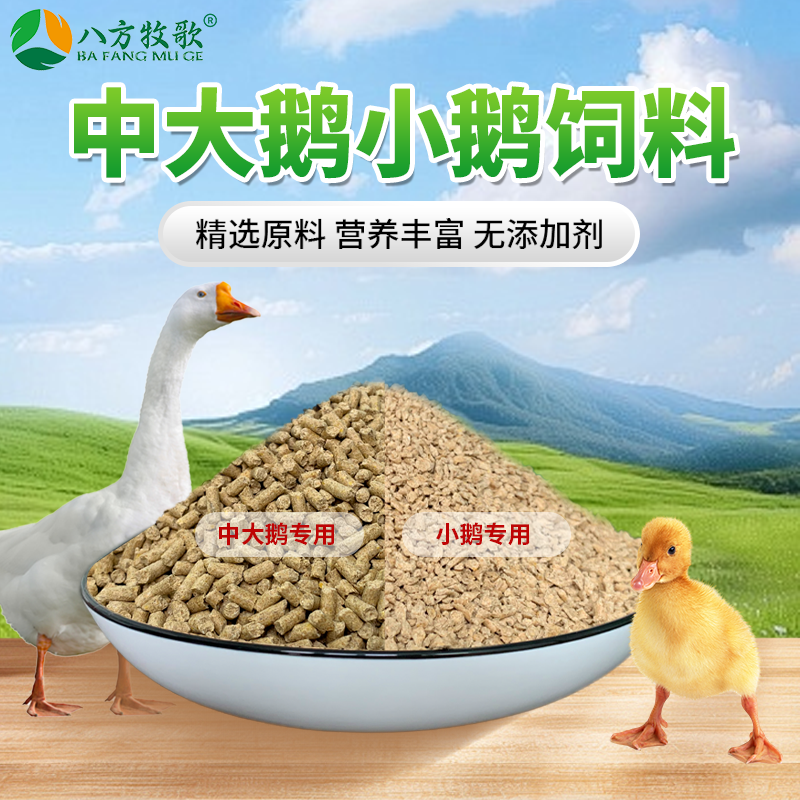鹅饲料中大鹅厂家直销宠物高蛋白饲料全价小鹅育雏开口料颗粒鹅食