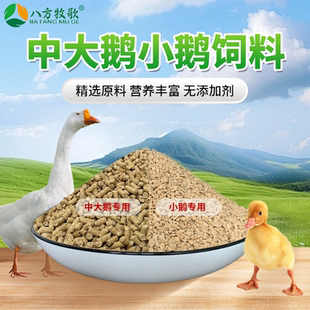 鹅饲料中大鹅厂家直销宠物高蛋白饲料全价小鹅育雏开口料颗粒鹅食