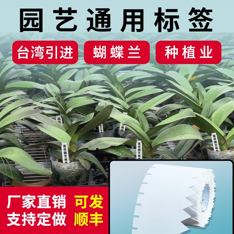 植物插牌园艺标签打印纸花卉挂牌PVC提示牌塑料户外树木防水吊牌