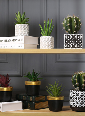 速发家植装饰品创意多肉植物盆栽摆内客厅室件绿居盆景小摆设