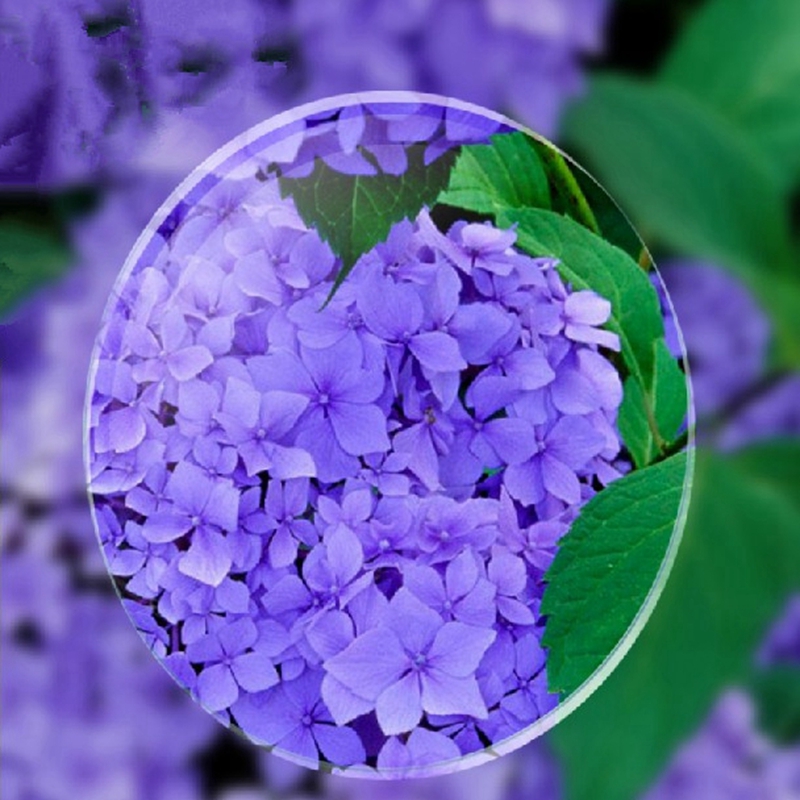 速发莱纳片1.61非球面片片绿膜树脂镜镜 片清晰2超价位