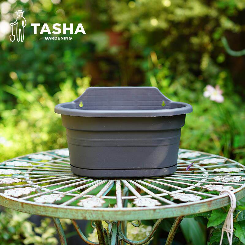 塔莎的花园 壁挂盆塑料花盆 吊兰绿萝牵牛盆栽墙上花盆挂墙花盆