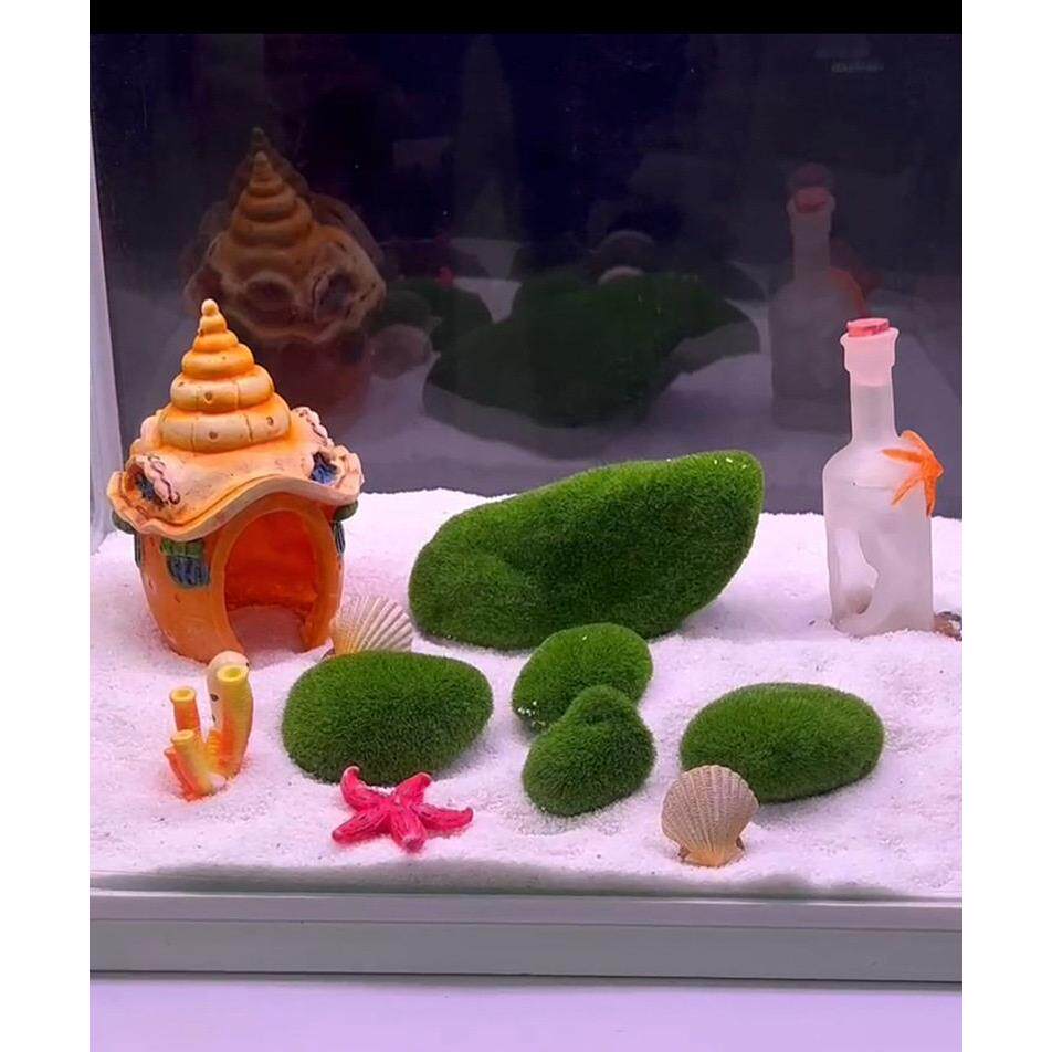 鱼缸造景装彩石长江石 水族箱造景装饰微景观长江石摆件青苔石