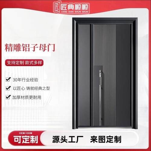 简约入户带指纹锁子母门防盗门入户门铸铝门楼房进户铁门现简约