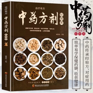 中药方剂轻图典正版 常见中药材功效解读中药知识入门对症调理养生药膳食谱书中医养生食疗书 中草药图鉴大全百科书 中医书籍大全