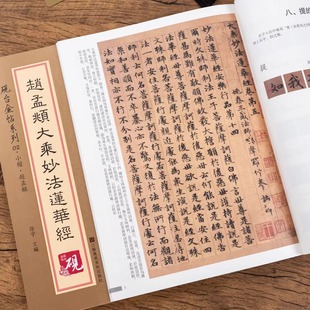 大乘妙法莲华经赵孟頫小楷字帖放大正版书法字帖砚台金帖系列抄经临摹字帖初学者技法解析历代碑帖硬毛钢笔繁体字书法教程书籍技能