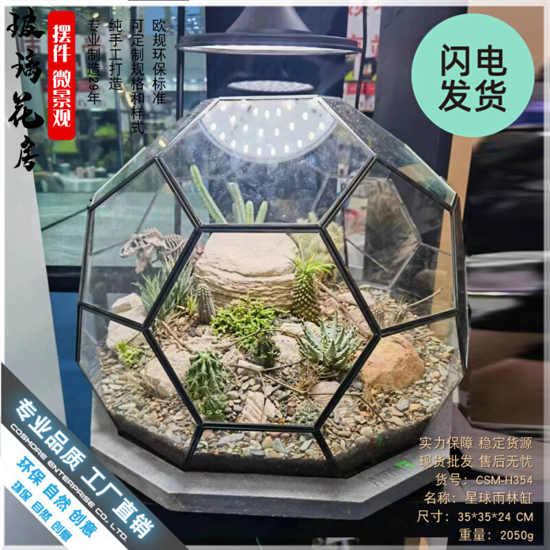 微景观雨林玻璃罩几何花房装饰摆件办公室造景生态瓶星球形花器皿