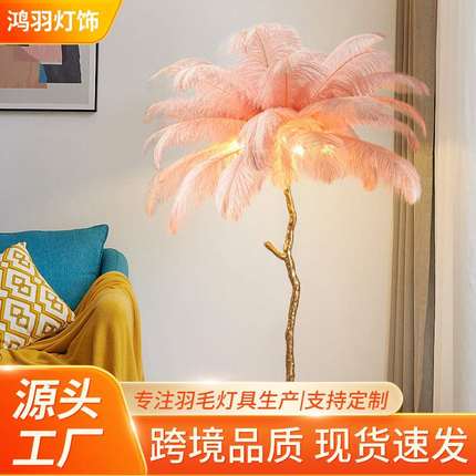亚马逊LED卧室床头羽毛落地灯茶几客厅高级感ins风北欧网红直播灯