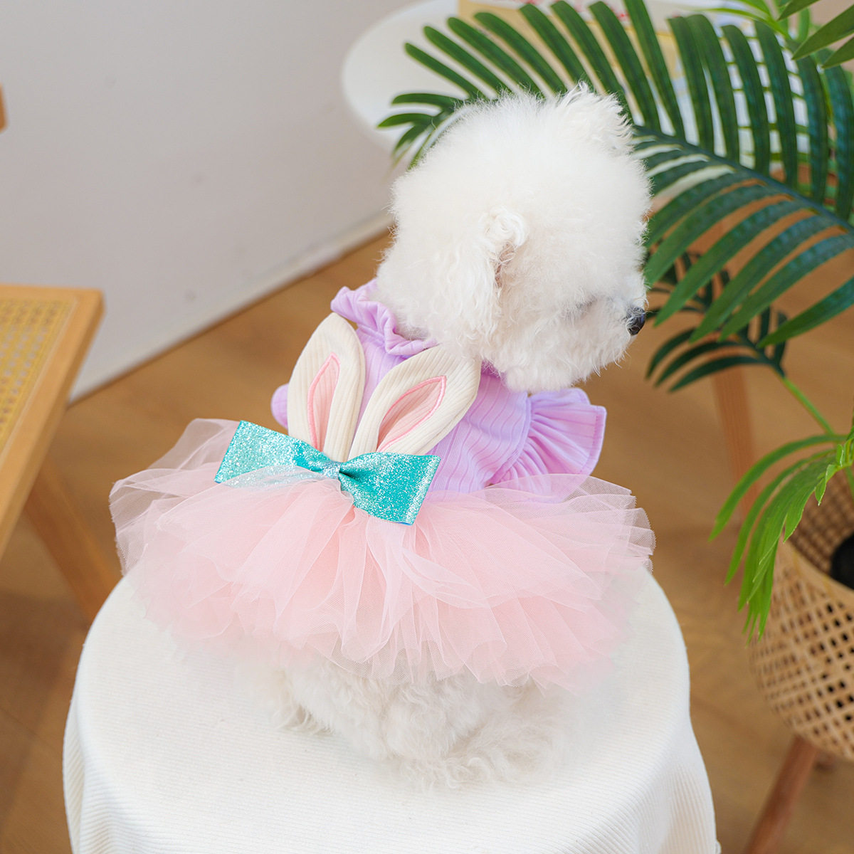 宠物衣服小仙气裙子猫猫衣服狗狗服饰批发小兔纱裙蓬蓬公主裙子