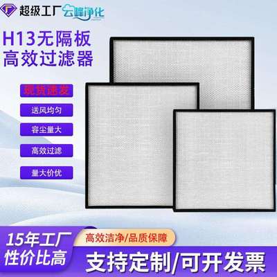 生物医药洁净室专用HEPA滤网 H13级99.97%效率源头工厂支持验厂