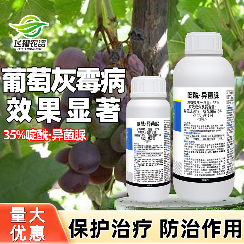 葡萄灰霉病专用药灰谷35%啶酰菌胺异菌脲内吸治疗喷雾农药杀菌剂