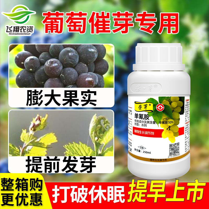 荣芽50%单氰胺促芽生长调节剂