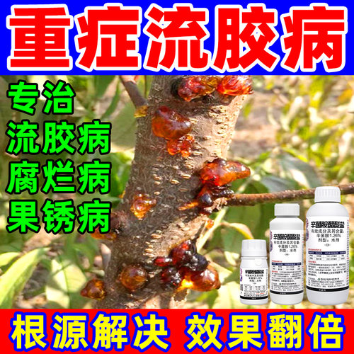 桃树流胶病辛菌胺醋酸盐杀菌剂
