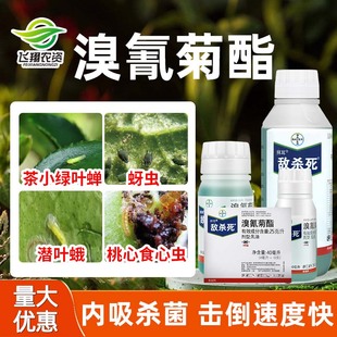 德国拜耳敌敌杀死溴氰菊酯果树花卉蔬菜毛毛虫蚜虫农药杀虫剂高效