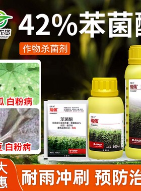 瑞佩 42%苯菌酮英腾蔬菜黄瓜草莓苦瓜豌豆白粉病专用农药杀菌剂