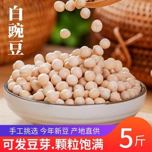 新干豌豆生豌豆做豌杂面 面重庆小面白豌豆黄散装干黄碗豆粒杂粮