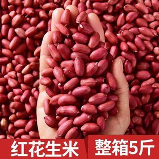 2023年新红皮花生米生新货农家花生仁大粒新鲜即食价四粒红衣