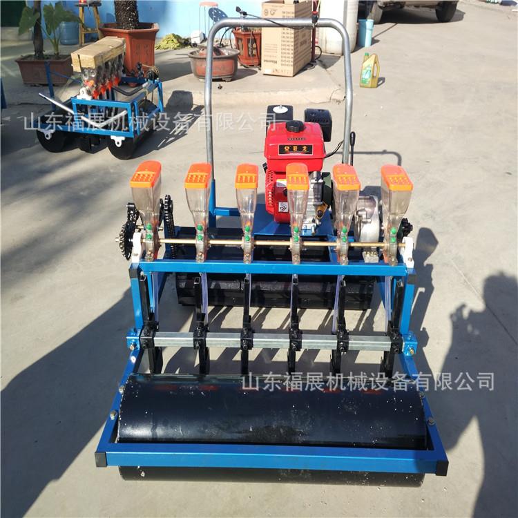 农用蔬菜精播机新款小型手推电动自动谷子多功能蔬菜油菜香菜芹菜