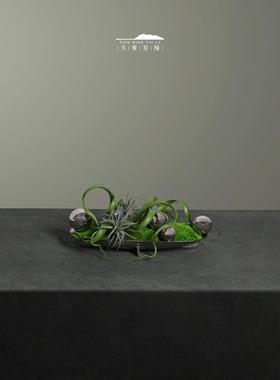 天青苔绿 现代新中式金属托盘永生苔藓组合 样板间展示柜书柜摆件