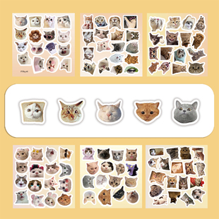 6张半切环保无异味可爱猫头ins风贴纸小清新装饰手机壳笔记本背景墙电动车保温杯平板吉他DIY桌面防水贴贴画
