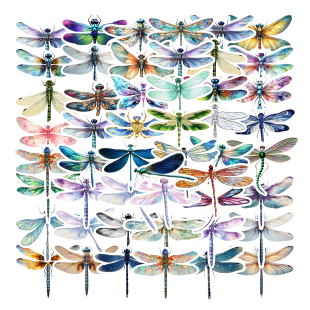 50张透明款水晶彩色蜻蜓小清新ins贴纸少女心装饰笔记本头盔水杯尾箱平板手机吉他背景墙玻璃镜面DIY防水贴纸