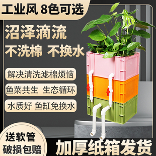 鱼缸周转箱沼泽过滤箱鱼池水循环系统过滤滴流盒水培生态滴滤箱