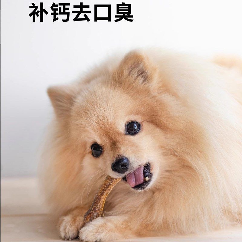 狗狗零食磨牙棒洁齿骨头宠物金毛泰迪幼犬大中小型犬训犬耐咬咬胶,宠物/宠物食品及用品,狗冻干零食,淘宝优惠券,粉丝福利购,淘宝优惠卷