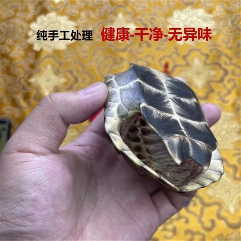 铜乌龟壳六爻起卦用具铜钱工具爻卦金钱龟甲龟壳周易八卦家居摆件