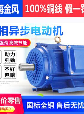 YE2三相异步马达380V 铜线卧式立式0.75/1.1/1.5/2.2/3/4KW国标