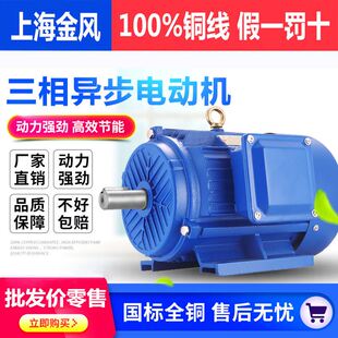 0.75 4KW国标 YE2三相异步马达380V 立式 2.2 1.5 铜线卧式 1.1