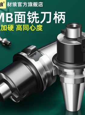 CNC数控FMB面铣刀柄装铣刀盘刀柄BT30/40/50-FMB22/32/40-60/100L