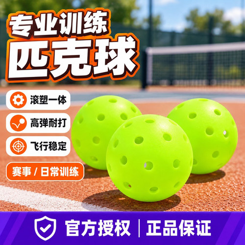 雷弗斯40孔专业比赛匹克球