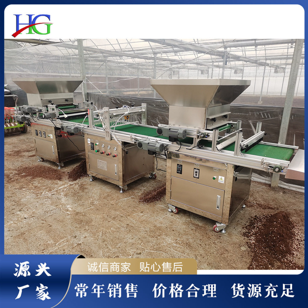 卧式育苗播种机全自动大棚果蔬点播机农用电动铺土压穴播种一体机