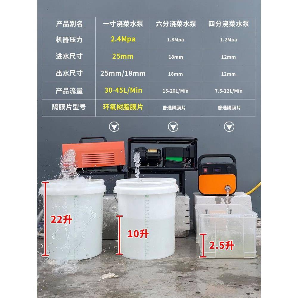 大功率电动浇水机自吸泵农用灌溉抽水泵户外携便式12v浇菜抽水泵
