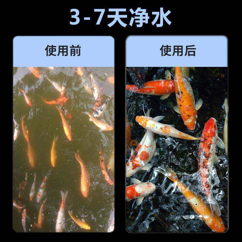 鱼池过滤器鲤水环系统室外净水装置户外循庭院SQL锦鱼不锈池钢过