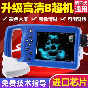 兽用B超机犬羊用b超母猪测孕仪器猪比超机超声波怀孕彩超检孕背膘