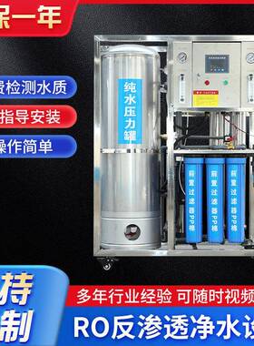 工厂水处理设备反渗透净水设备0.25吨压力RO软水反渗透纯水