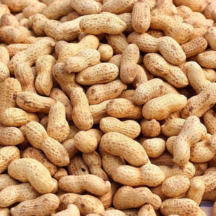 新花生现炒原味花生炒熟带壳花生农家铁锅沙土大花生散装批发