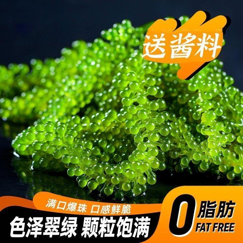 爆浆海葡萄新鲜可食用即食海葡萄可吃儿童食品级100g官方旗舰店