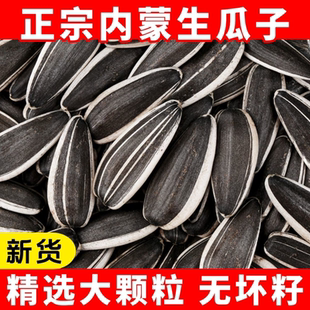 生瓜子葵花籽新货大颗粒晒干内蒙古新鲜原味薄皮生葵瓜子炒货零食